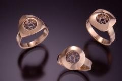 Spyro Rings